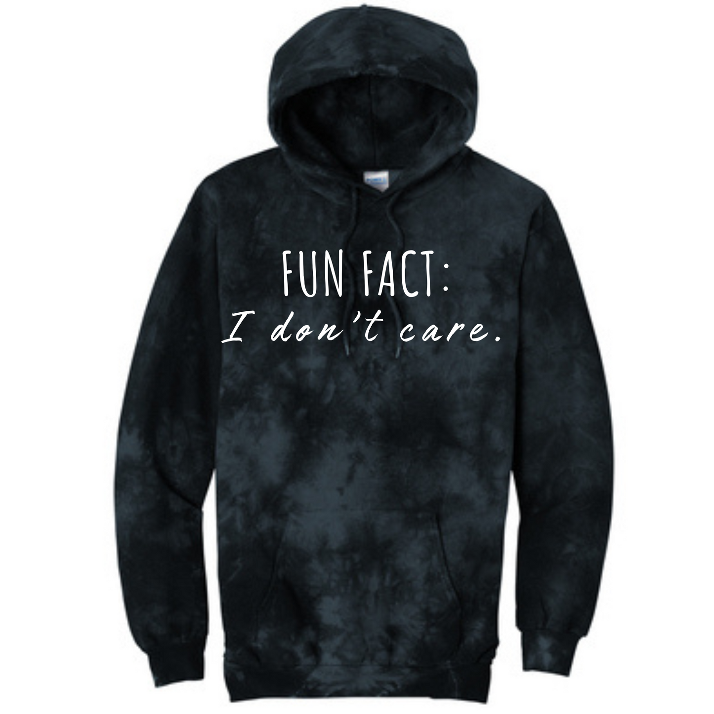 Fun Fact: I Don't Care Long Sleeve Hooded Sweatshirt